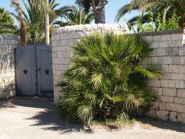 Villa unifamiliare PS