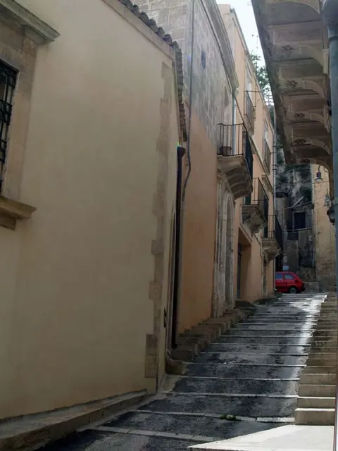 Ristrutturazione Pol.Leo - Ristrutturazioni