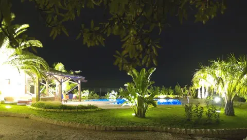 Progetto del verde Pit - Giardini